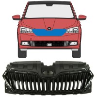 Grotelės už Skoda Fabia 2018-2021 16214