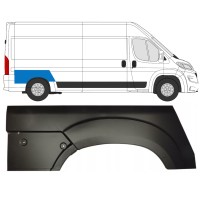 Galinė arka už Opel Movano 2021-2026 / Dešinė 16441